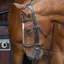 Shires Velociti RAPIDA Ergononic Curved Cavesson Bridle - Havana
